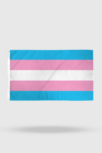 Bandeira Trans